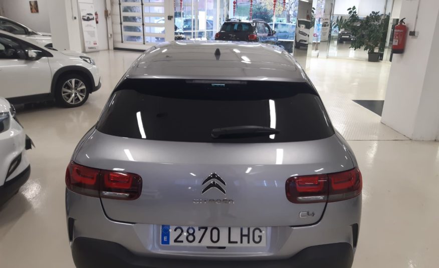 CITROEN C4 Cactus BlueHDi 120 SS EAT6 Shine